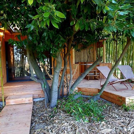 Maisonette Et Spa Bois La Bégude-de-Mazenc Zewnętrze zdjęcie